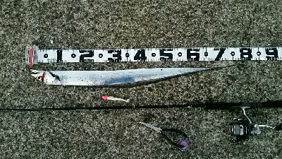 久々に1匹ゲット。NEWロッドに鱗づけ成功…